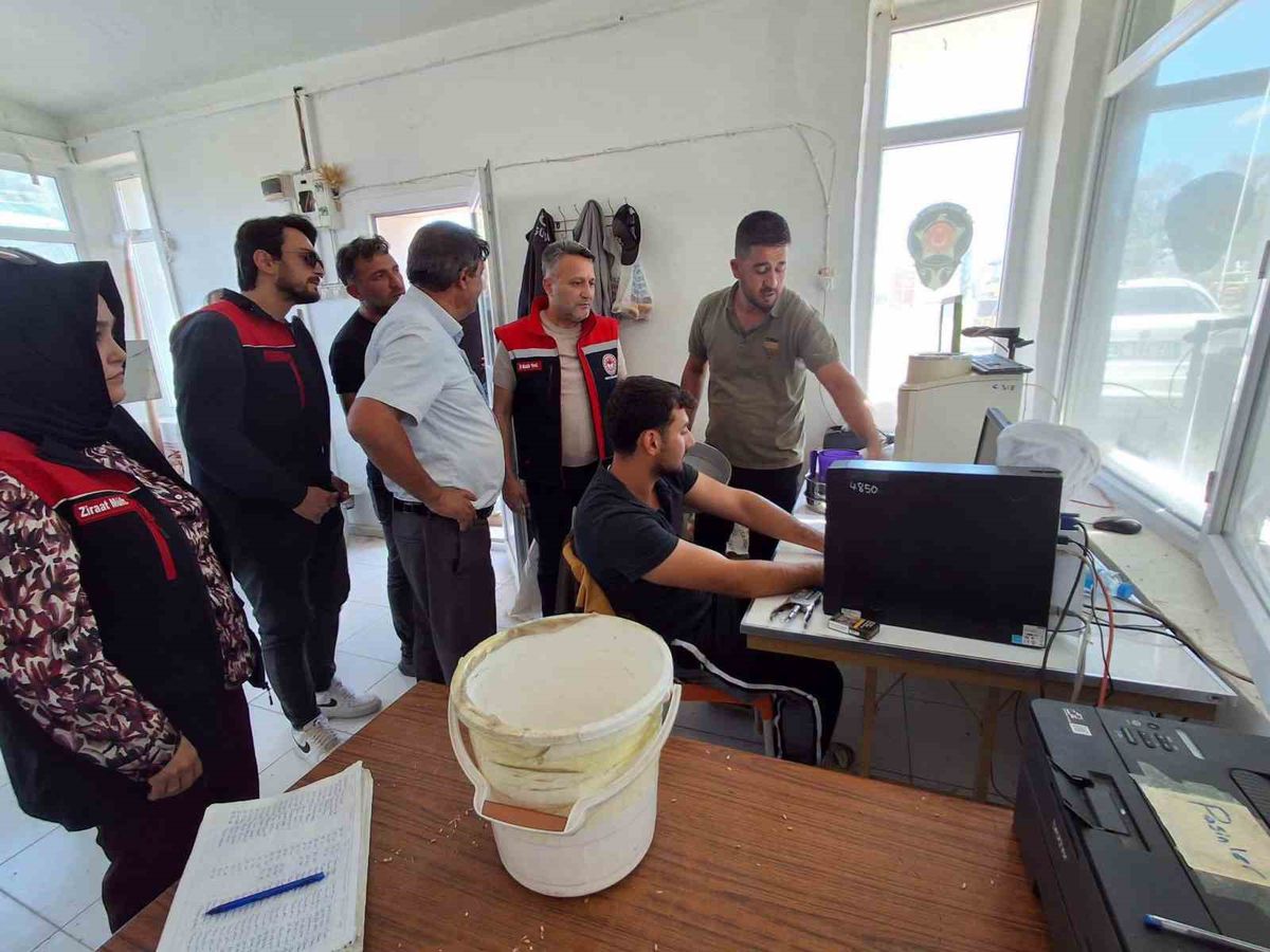 Bayburt'ta TMO Hasat Alımları Sürüyor