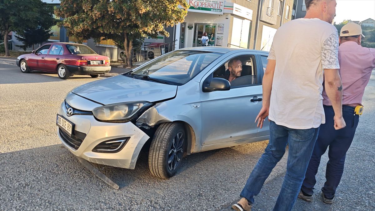 Mengen'de arıcılık buluşması ve bal hasat şenliği