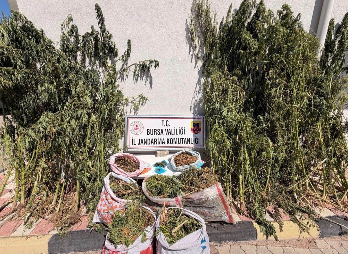 Karacabey'de Büyük Uyuşturucu Operasyonu