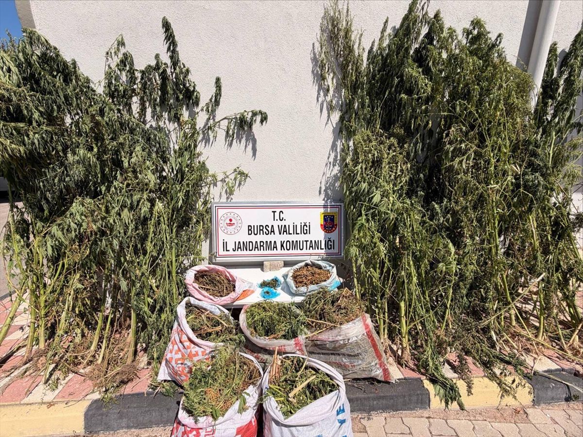 Karacabey'de Büyük Uyuşturucu Operasyonu: 3 Gözaltı