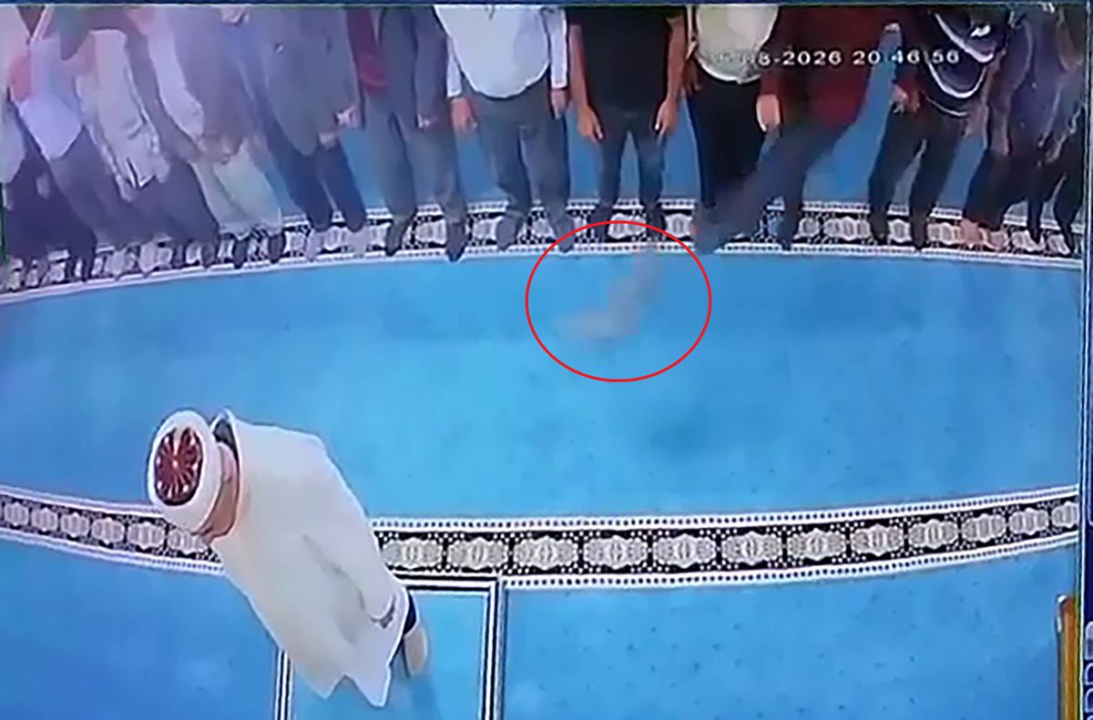 Camide Kediye Tekme Atan Şahıs Gözaltında