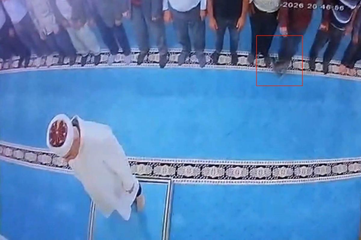 Erzurum'da Camide Kediye Tekme Atan Şahıs Gözaltına Alındı