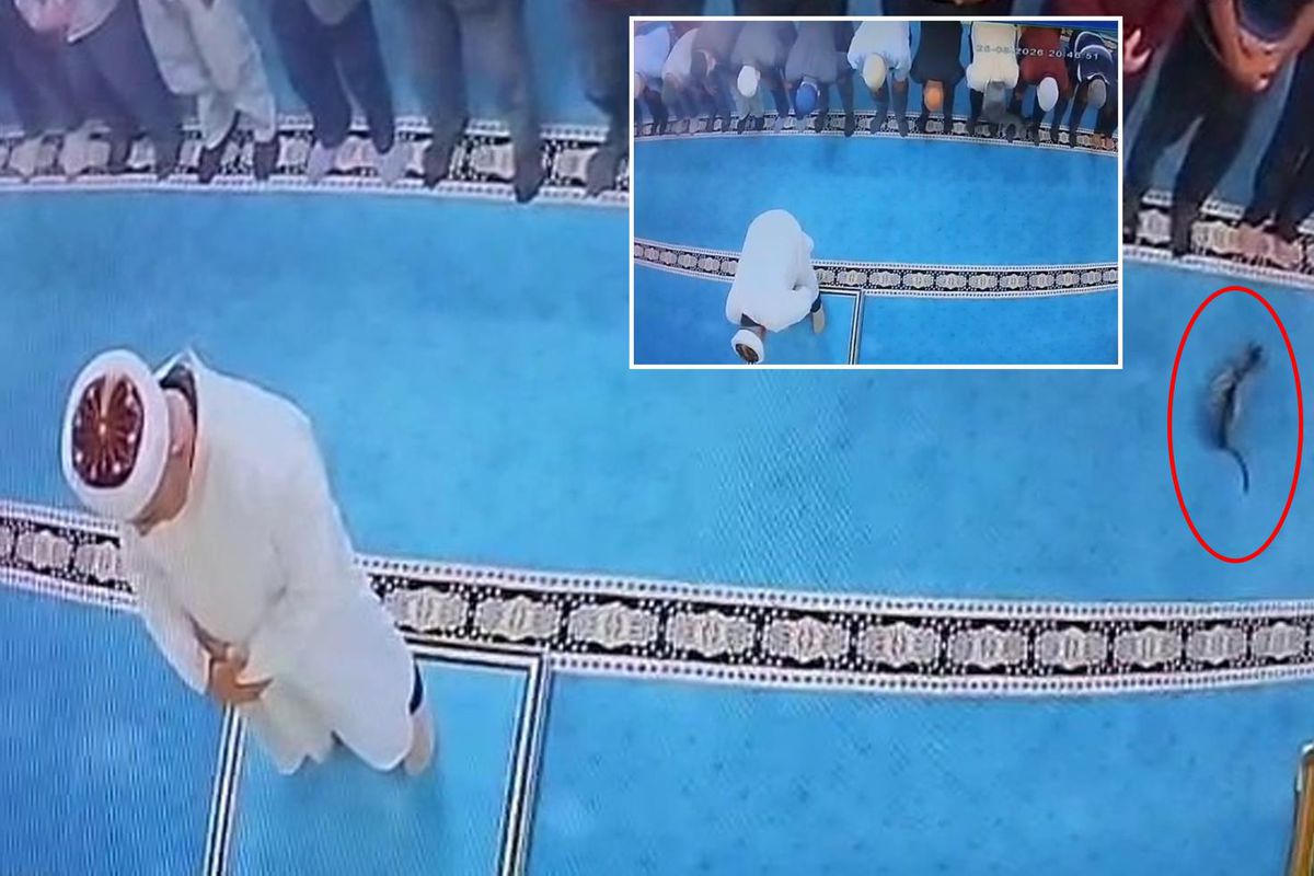 Namazda tekmelediği kedi imamın başına çarptı! Şüpheli gözaltına alındı
