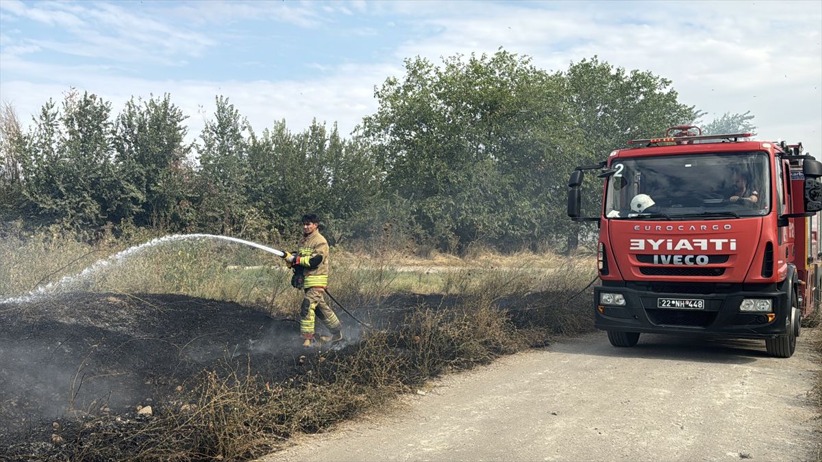 Edirne'de ot yangını söndürüldü