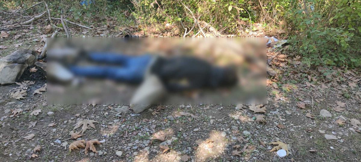 Cide'de Av Tüfeğiyle Öldürülen Adamın Katil Zanlısı Tutuklandı