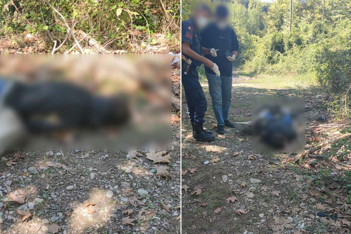 Dereye balık tutmaya inen köylüler, erkek cesedi buldu
