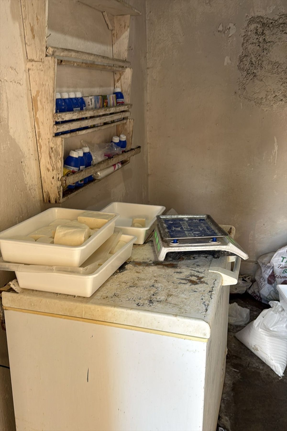 Kilis'te izinsiz ve hijyensiz peynir imalathanesi kapatıldı