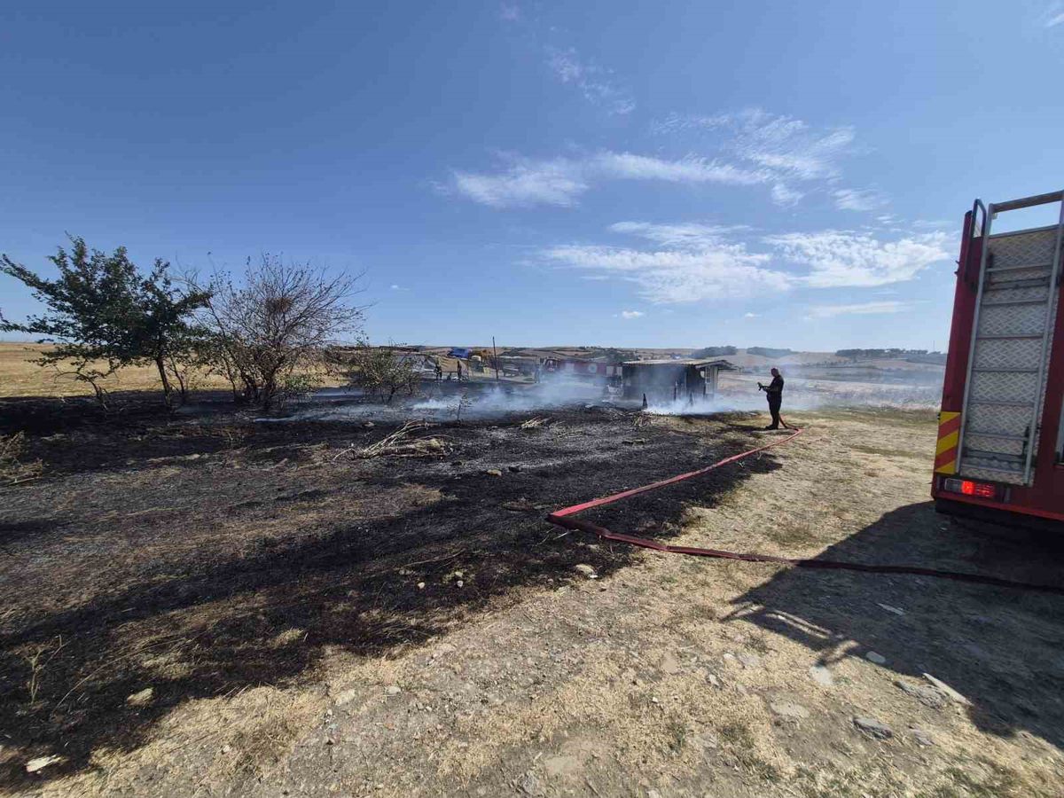 Muratlı'da Kırsal Alanda Yangın Panik Yarattı