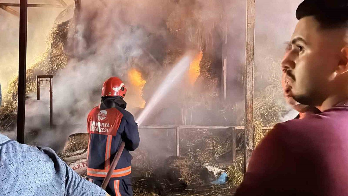 Adapazarı'nda samanlık yangını: Binlerce balya kül oldu, 4 kişi dumandan etkilendi