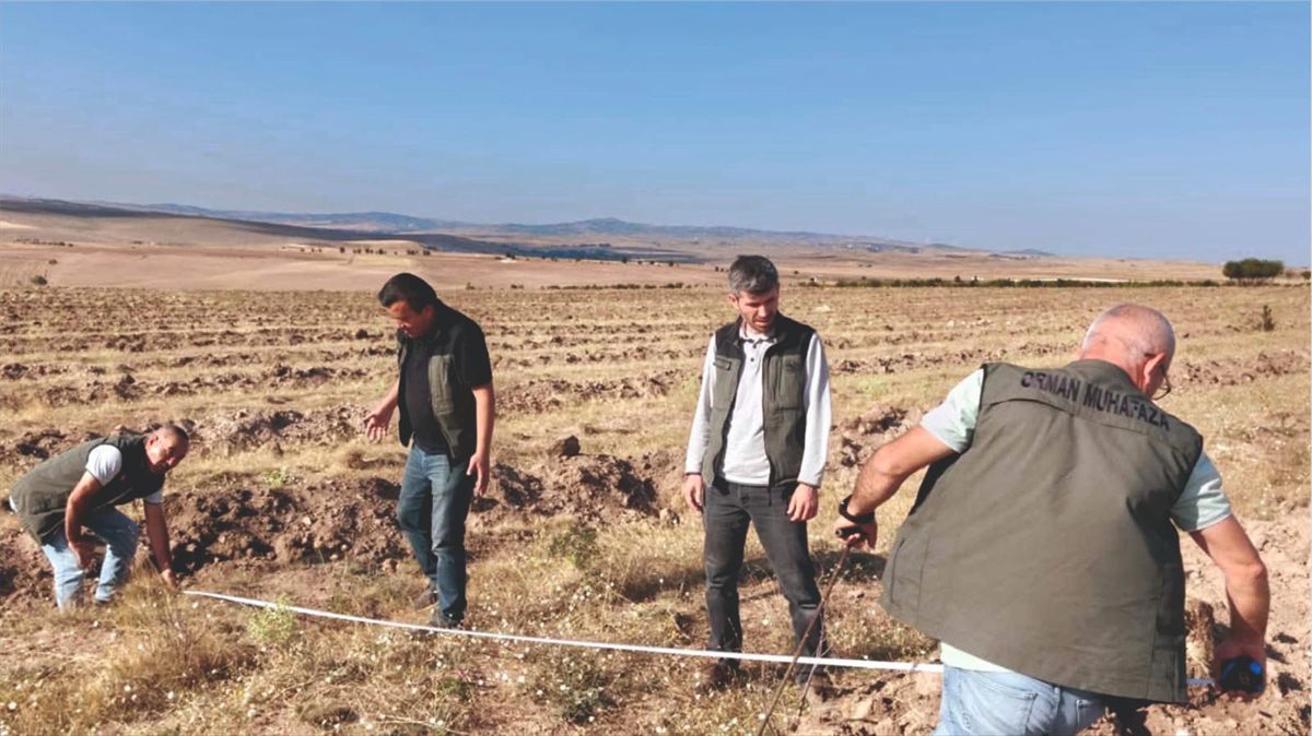 Yozgat'ta 50 Hektarlık Alanda Yeni Ağaçlandırma Planı
