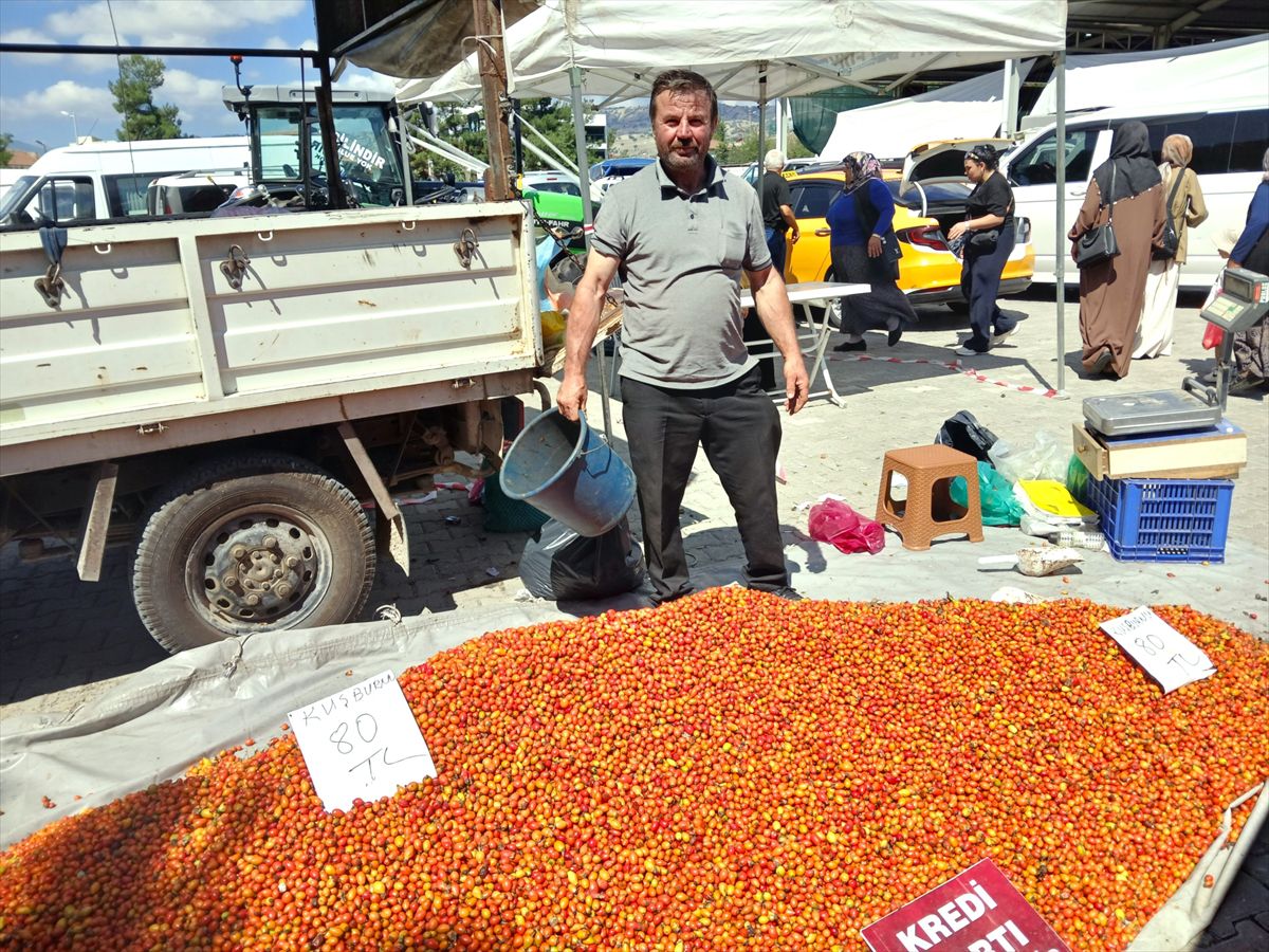 Taşova'da Kuşburnu Pazarı İlgi Görüyor