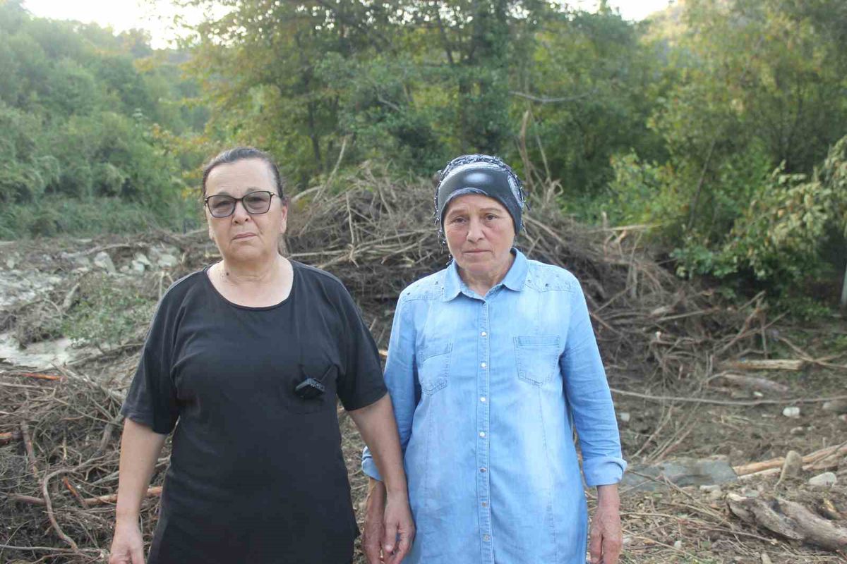 Sinop'ta sel: 2 kadın kurtarıldı, 32 tavuk telef oldu