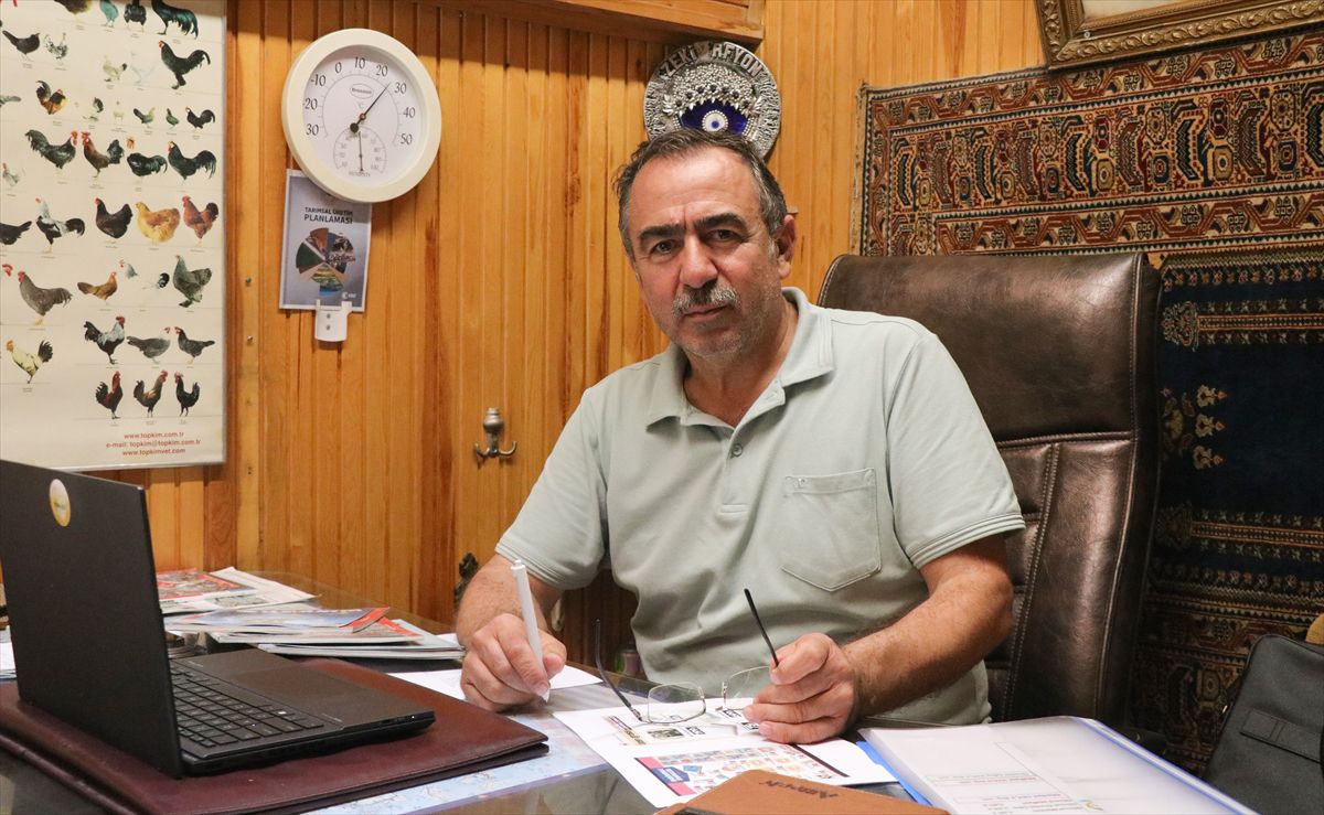 Yumurta fiyatlarında artış beklentisi yok