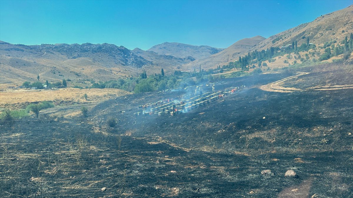 Adıyaman'da Yaylada Yangın: 150 Arı Kovunu Küle Döndü