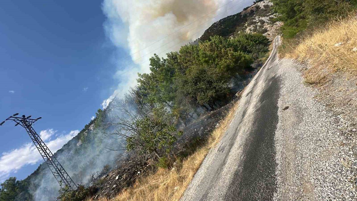 Akseki'de Orman Yangınına Havadan ve Karadan Müdahale