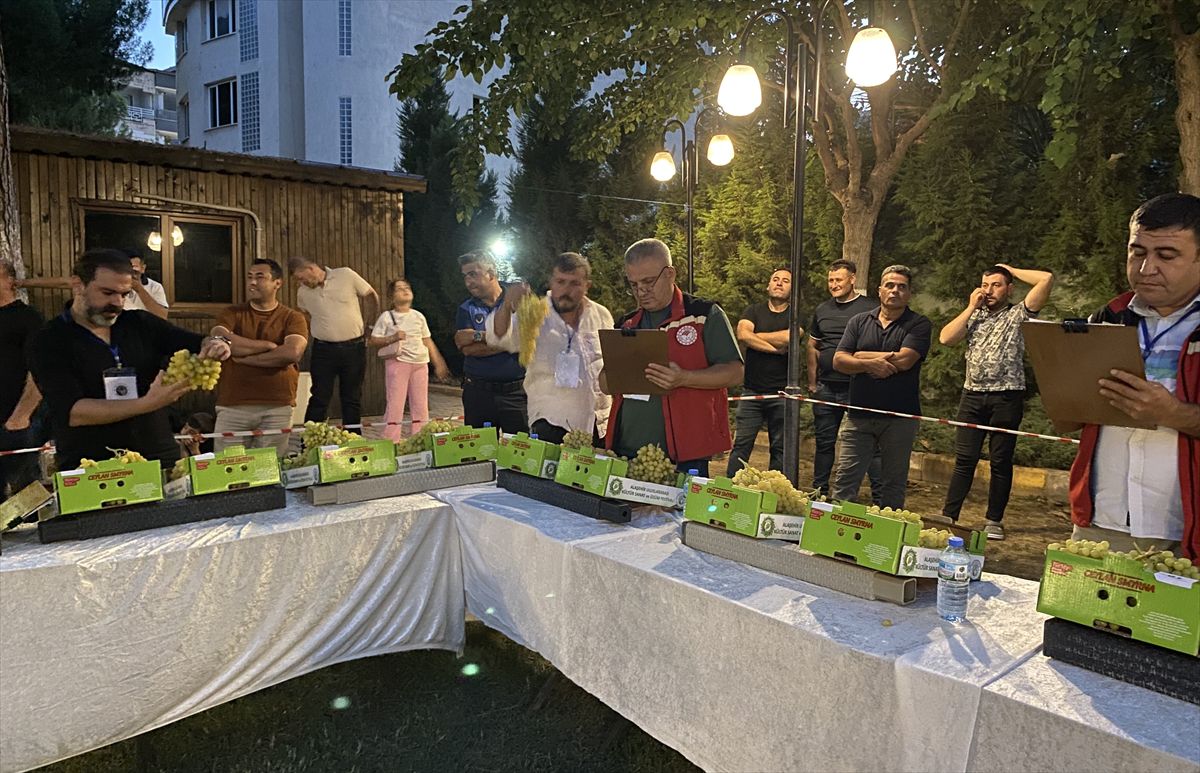 Alaşehir Festivali'nde Sepet Çekme ve Üzüm Yarışmaları