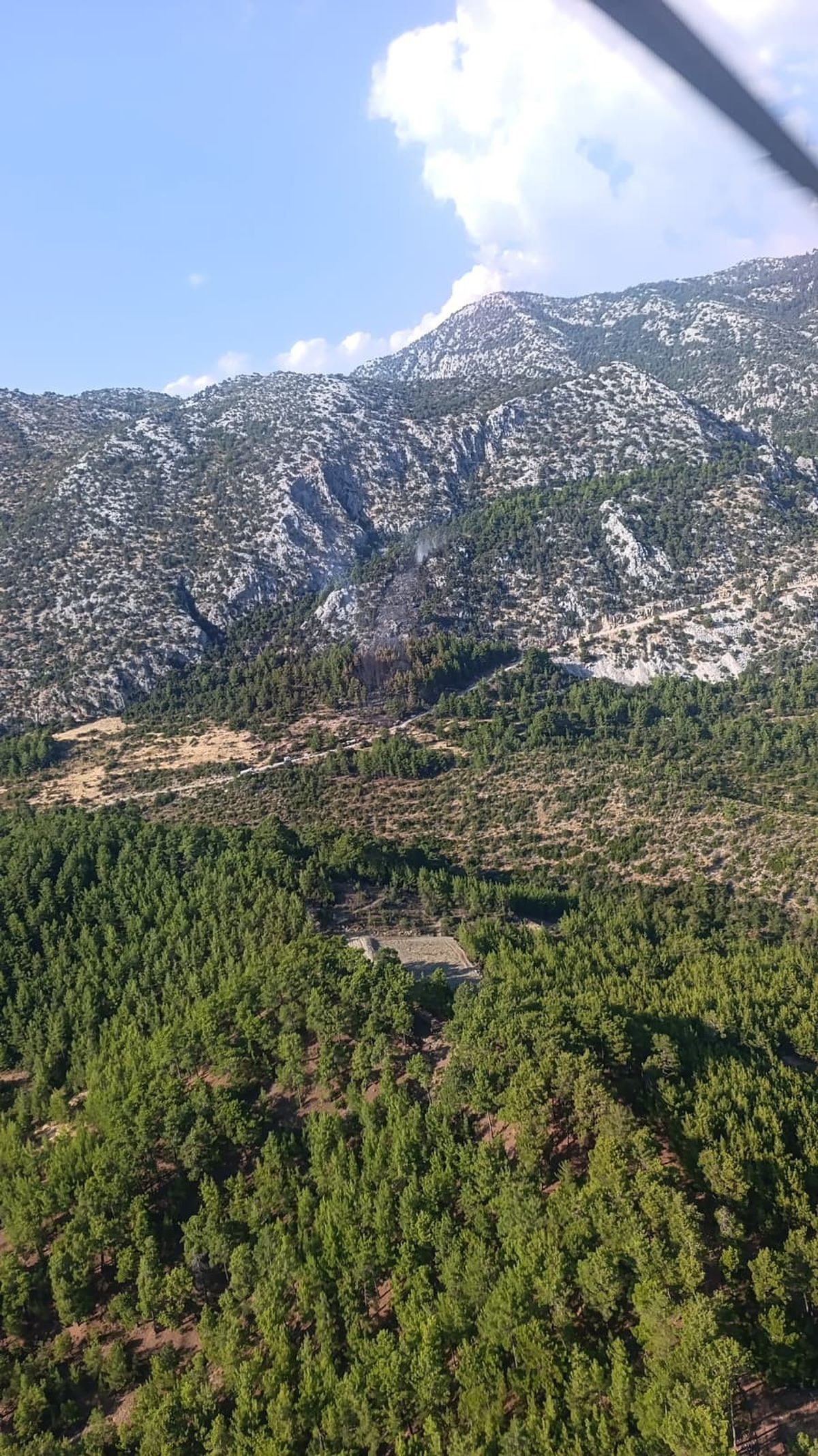 Akseki'de Orman Yangını 3 Saatte Kontrol Altına Alındı