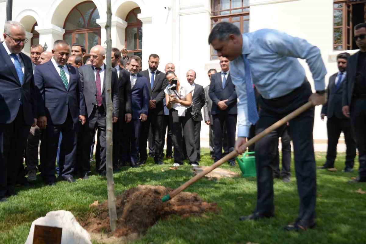 Bakan Çiftçi Bilecik'te Çınar Fidanı Dikti