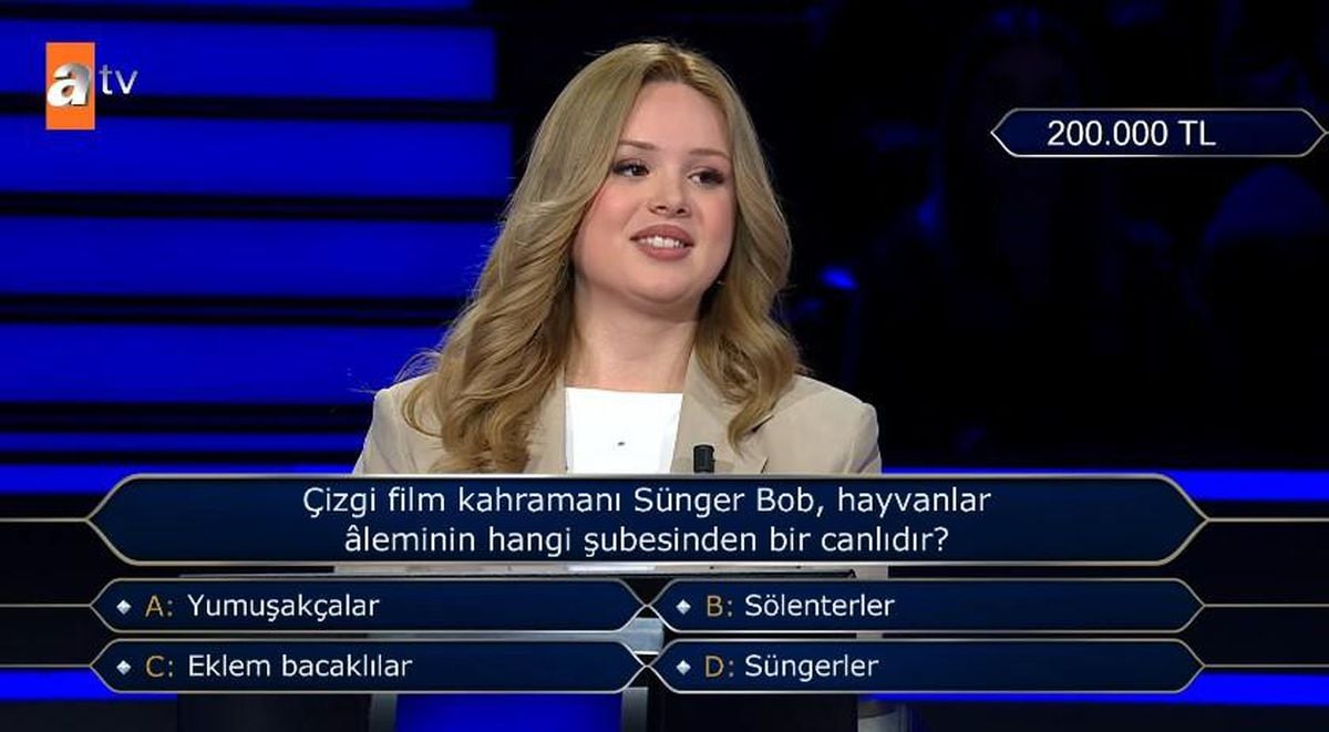 Çizgi film kahramanı Sünger Bob, hayvanlar âleminin hangi şubesinden bir canlıdır?