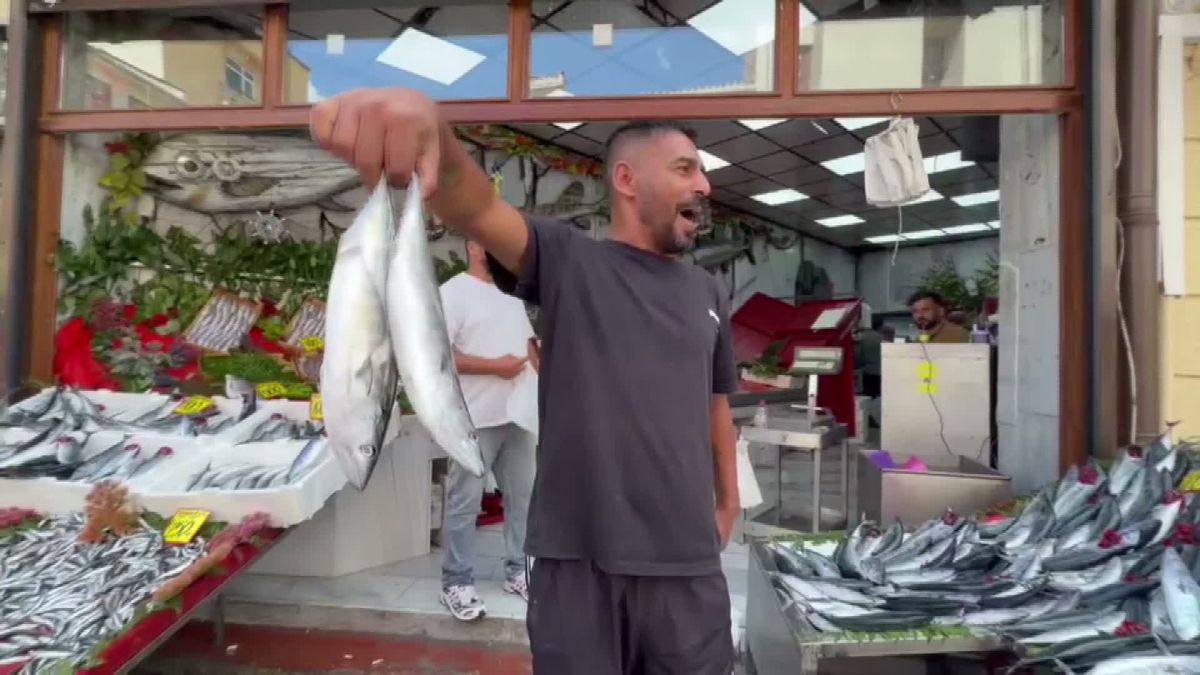 Edirne'de Palamut Bolluğu: Tezgahlar Doldu, Fiyatlar Uygun