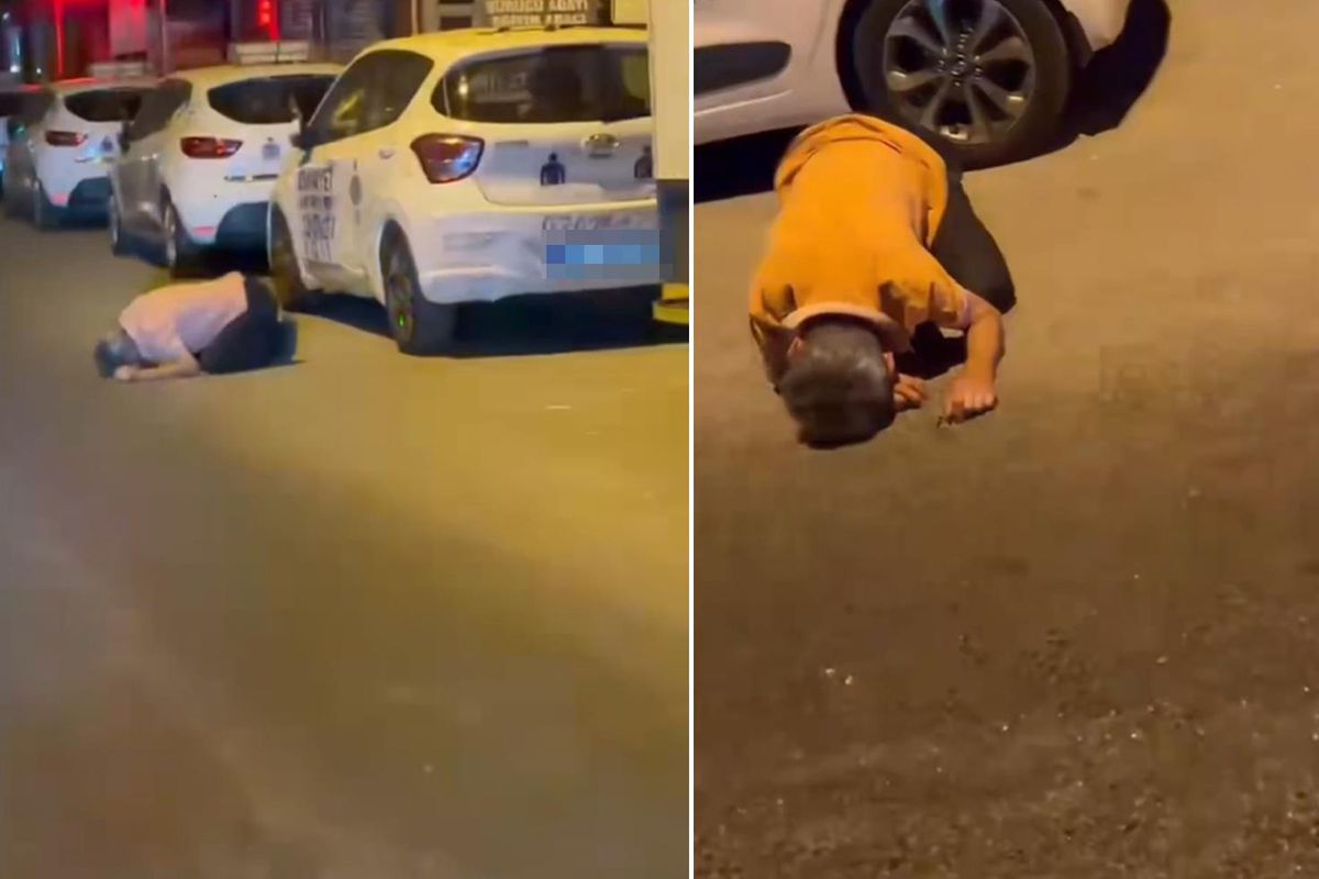Gece yarısı yolun ortasında gördüler! Arabayı bırakıp yanına koştular