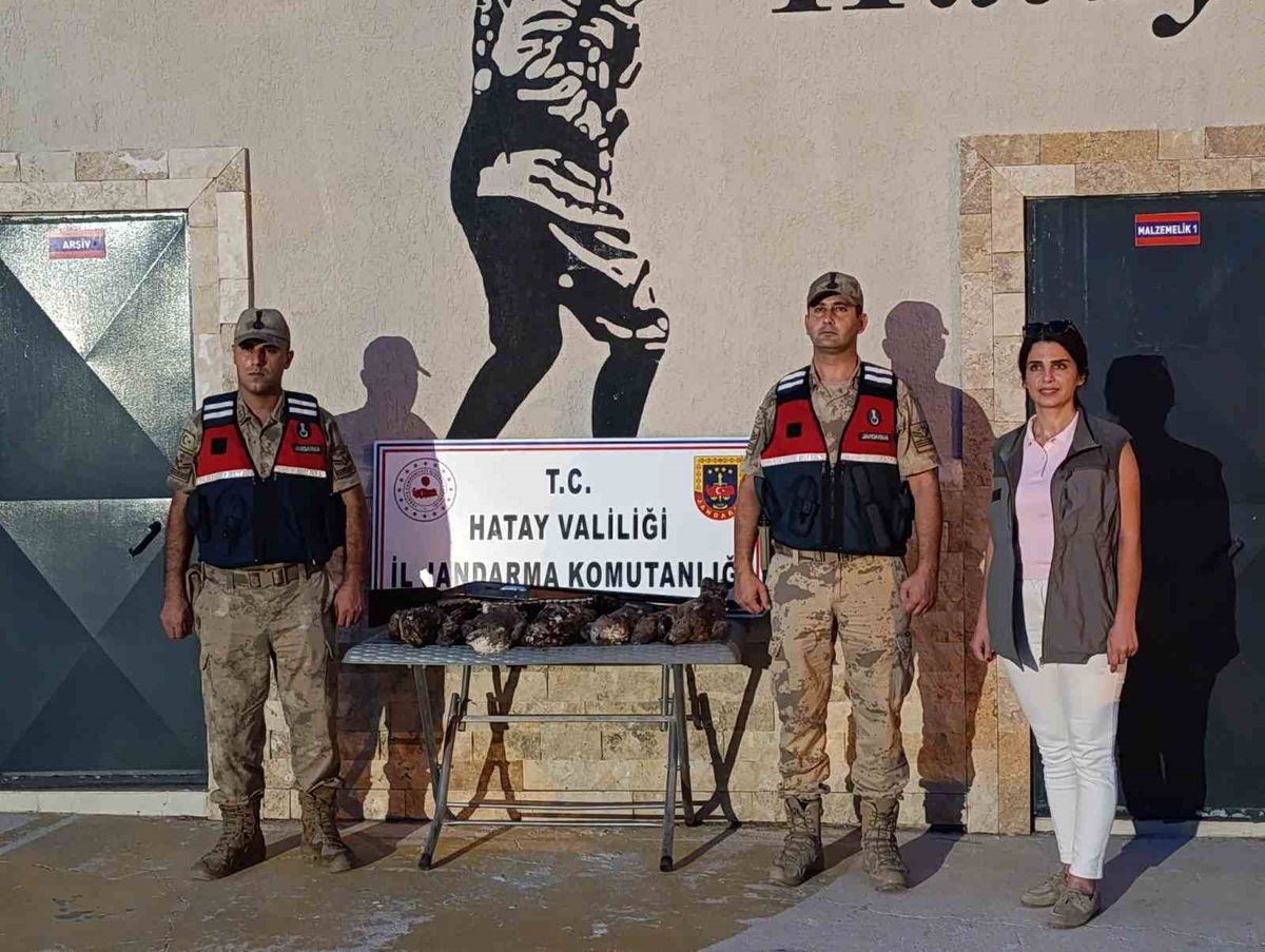 Hatay'da 7 arı şahini avlayana 1,3 milyon TL tazminat