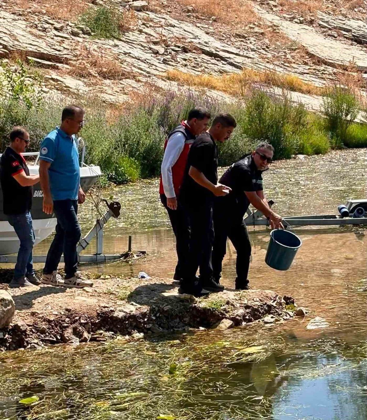 Hatay'ın Sularına 682 Bin Sazan Yavrusu