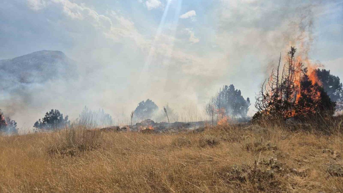 Yalvaç'ta orman yangını 6 saatte söndürüldü