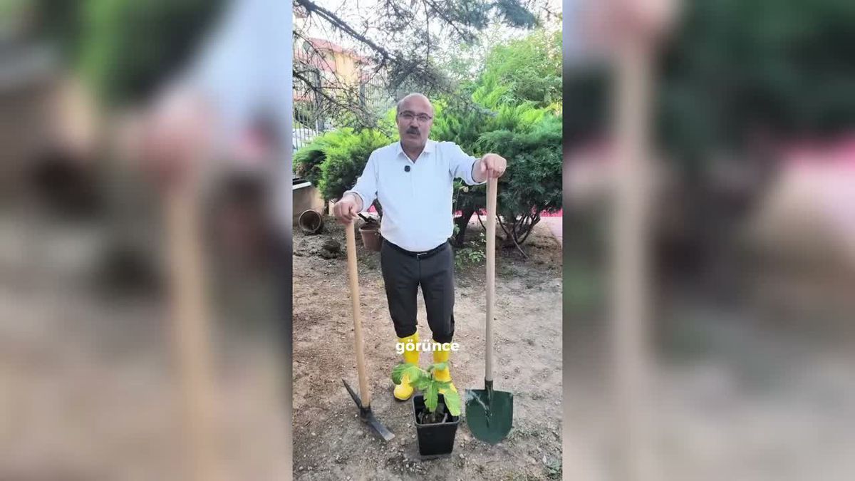 İYİ Parti'den Bakan Yumaklı'ya saksılı fidan tepkisi: Rehber video yayımladı