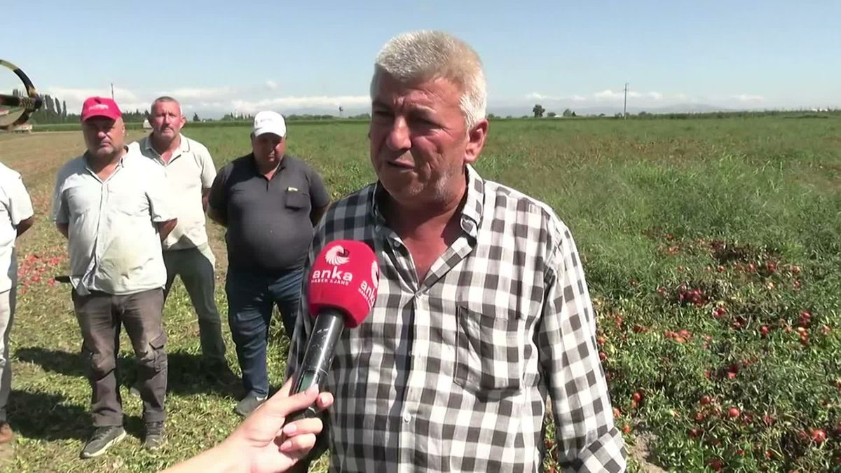 Karacabey Ovası'nda üreticinin isyanı: Canımız çıktı! Herkes kan ağlıyor, ciğerimiz yanıyor