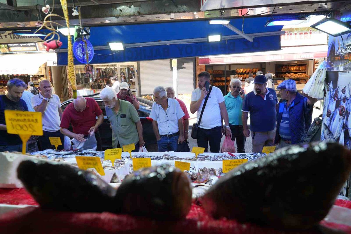 Samsun'da Palamut Bolluğu: Fiyatlar 80 TL'ye Düştü