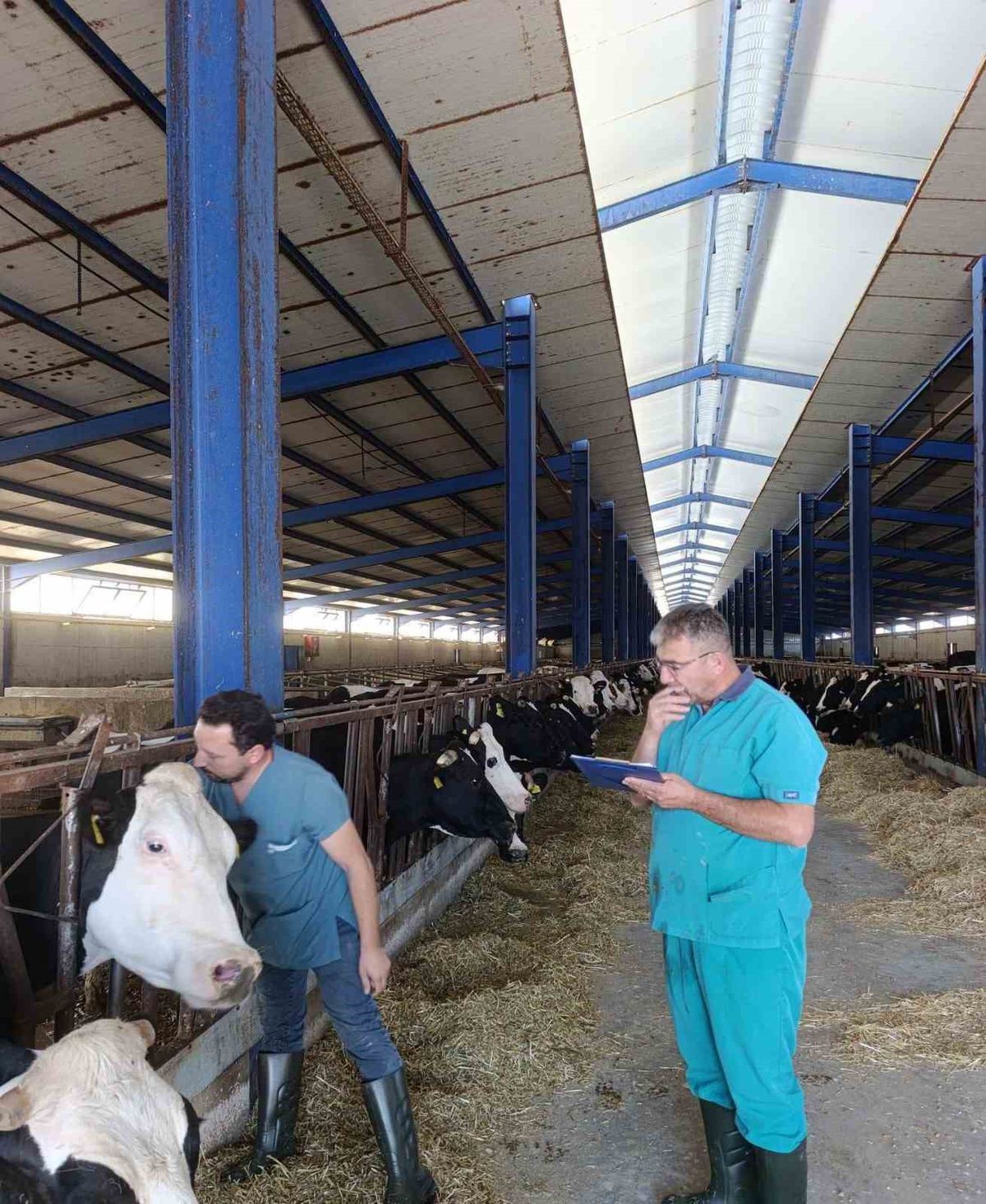Karapınar’da hastalıktan ari işletmelerde tüberküloz taraması