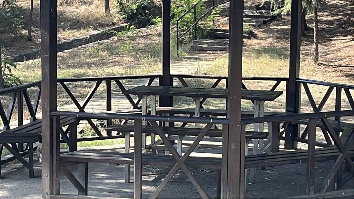 Boşanma Aşamasındaki Eşin Bıçaklı Saldırısı: 11 Bıçak Darbesi