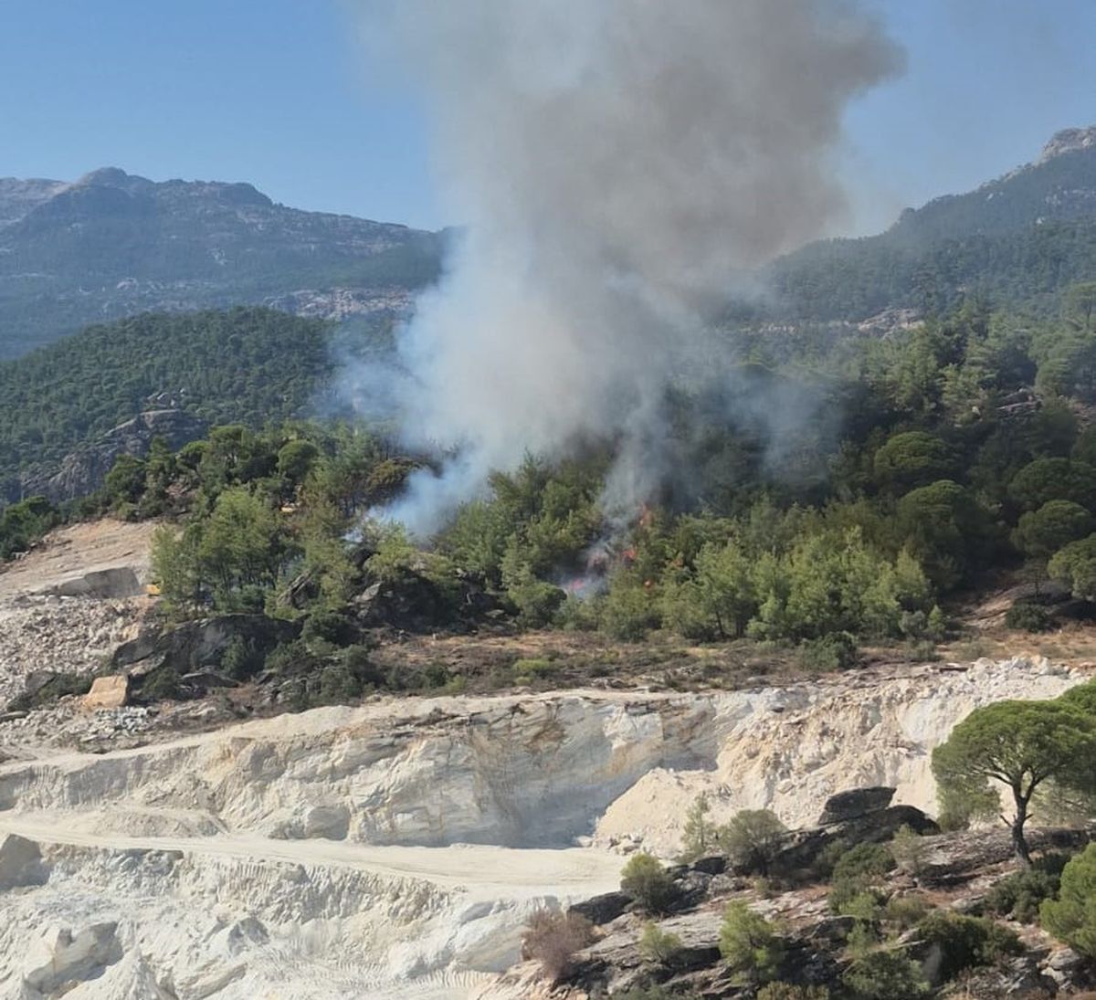 Milas'ta Orman Yangınına Havadan ve Karadan Müdahale