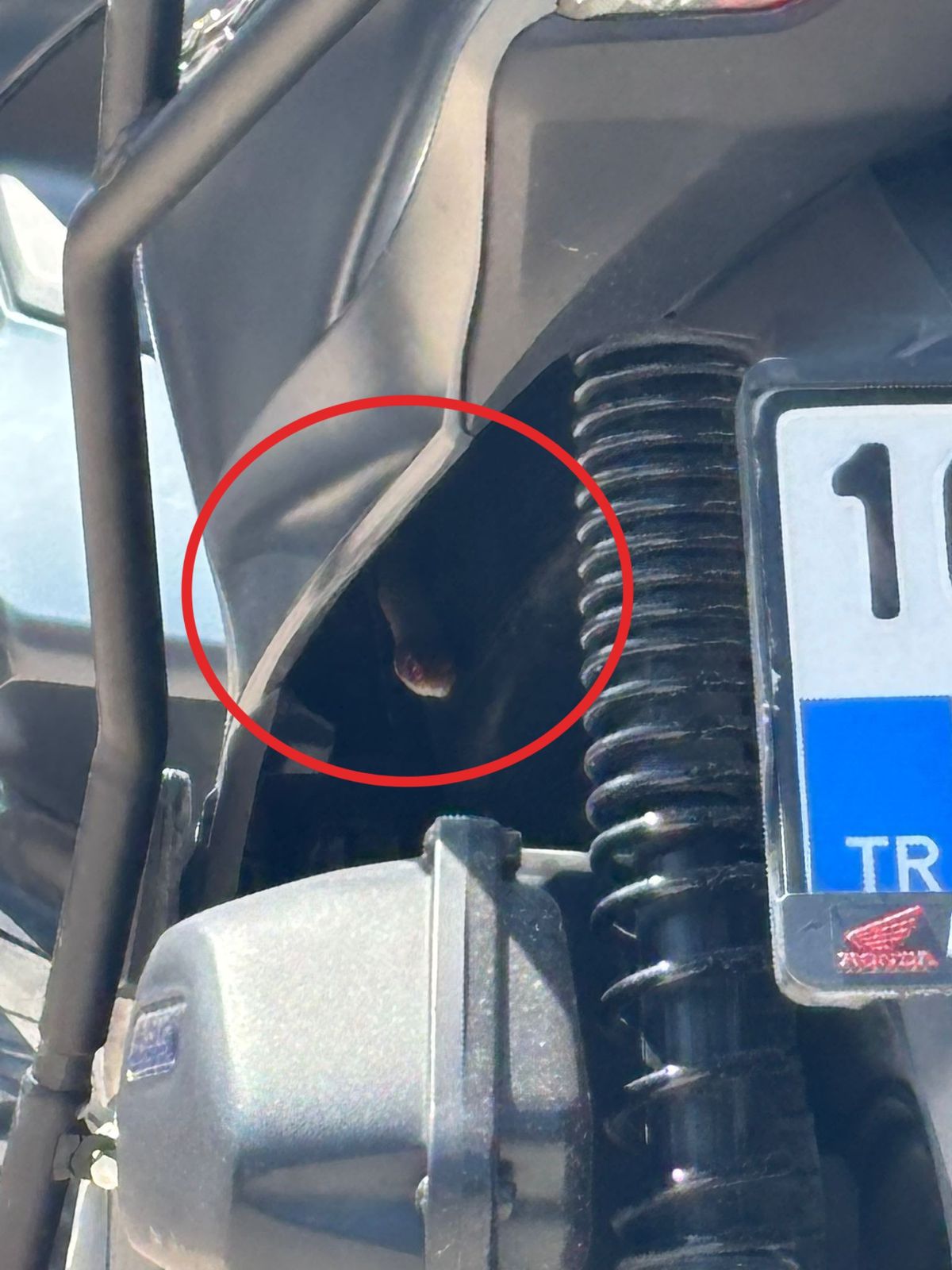 İnegöl'de motosikletin içine giren yılan itfaiye ekiplerince çıkarıldı