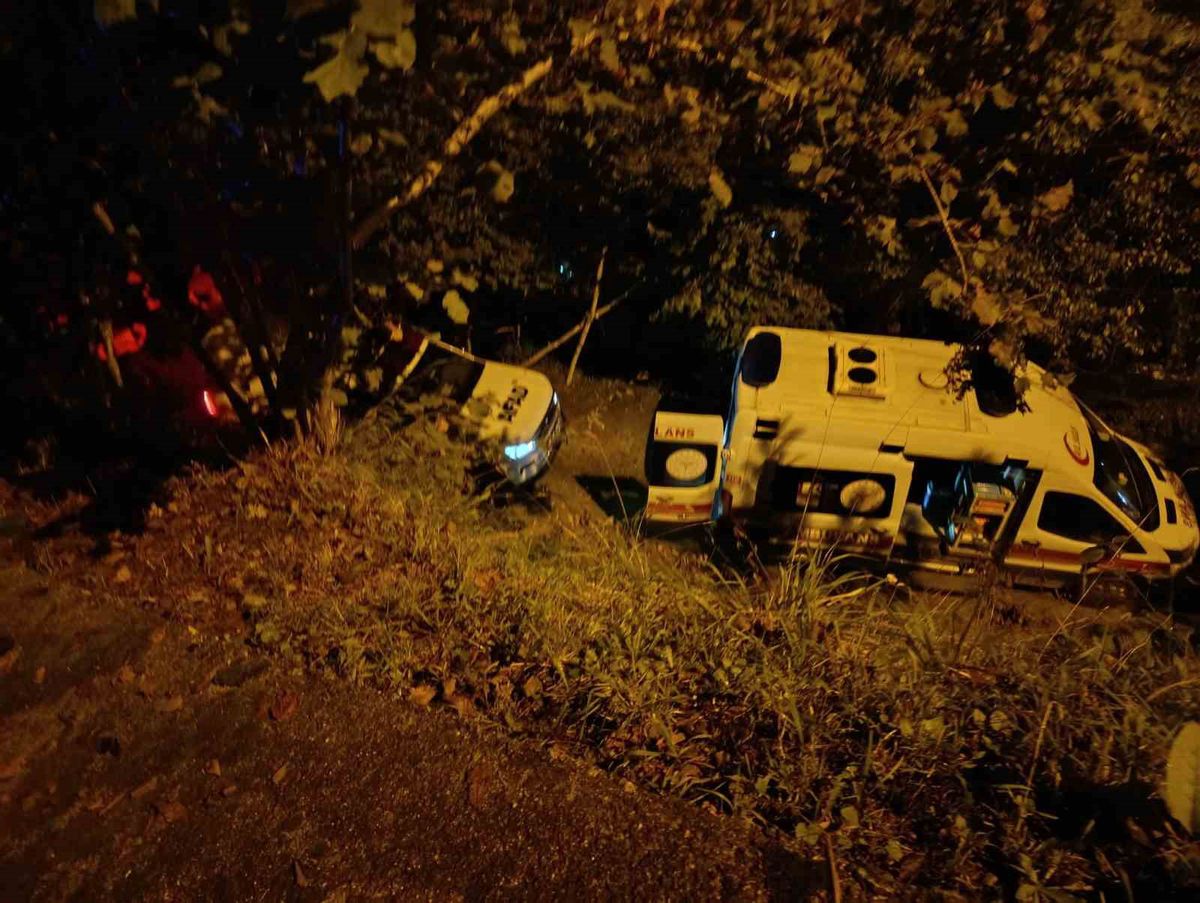 Rize'de Park Kazası: 2 Ölü, 1 Yaralı