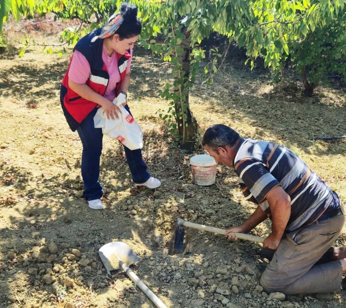 Pazarlar'da tarımsal verimlilik için toprak analizi