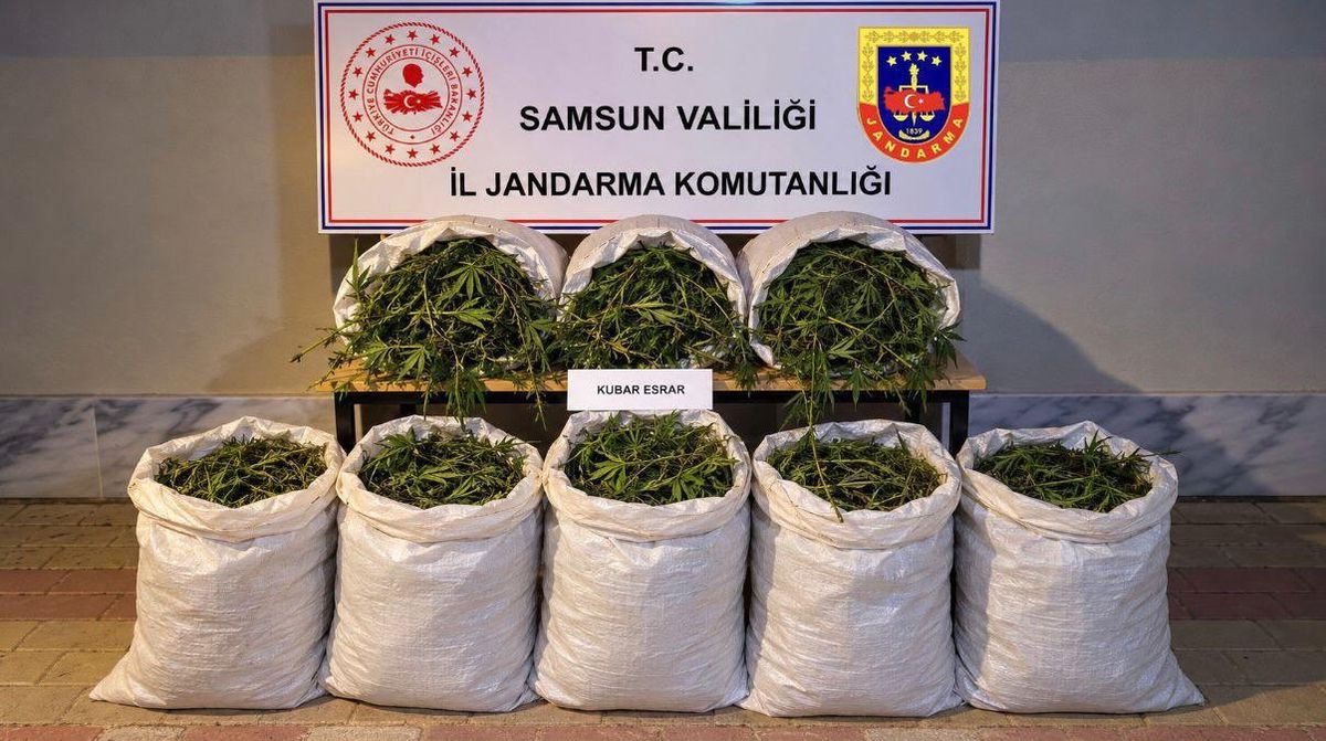 Bafra'da 63 kg Esrar Operasyonu