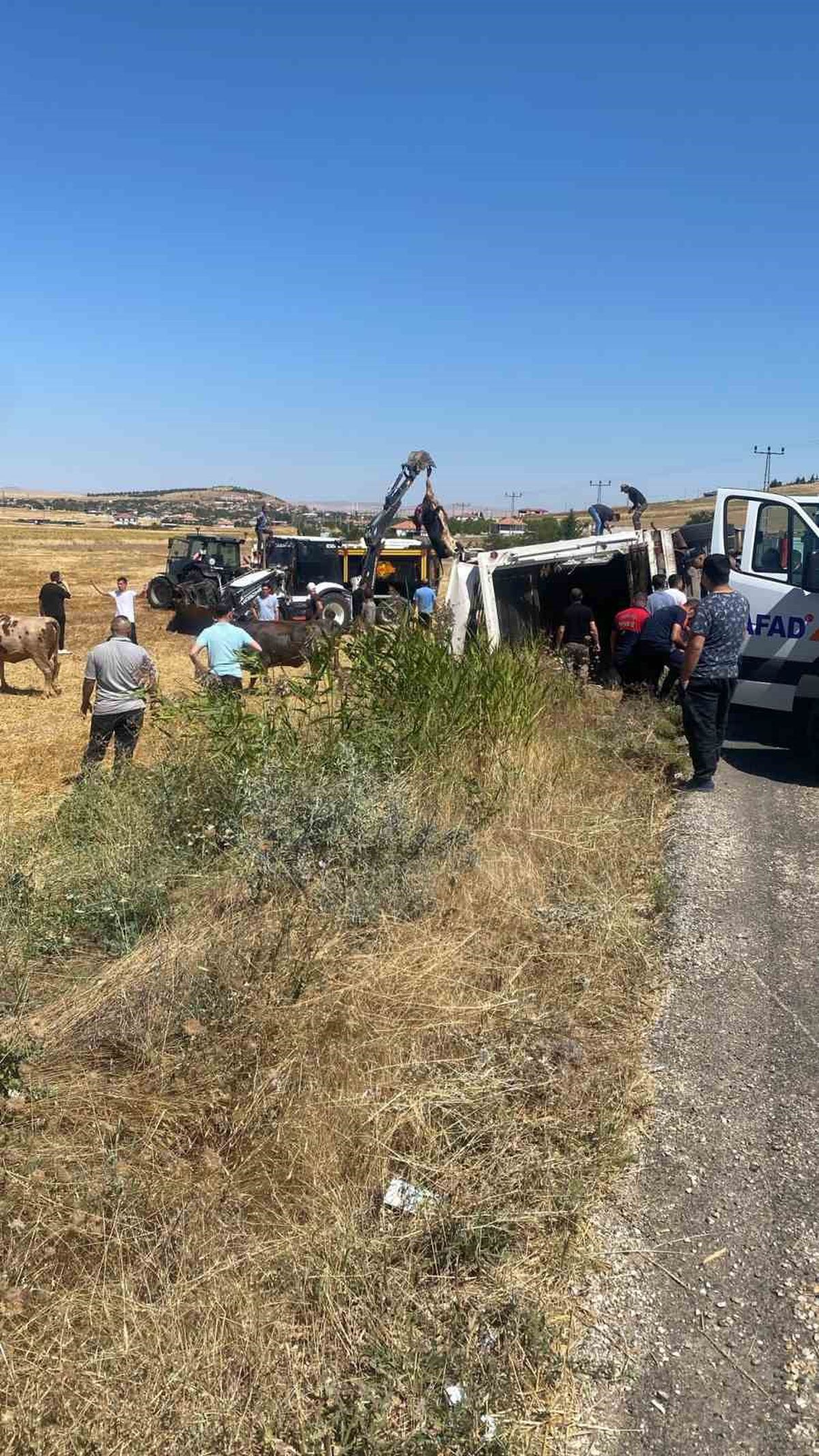 Kırşehir'de Hayvan Yüklü Tır Devrildi