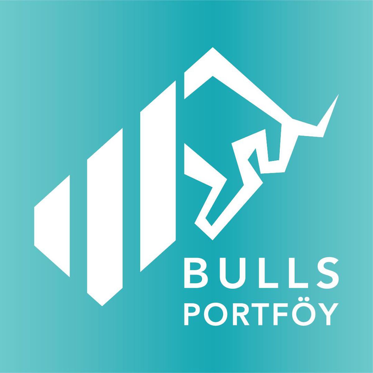 Bulls Portföy'ün TEFAS'a Açık Serbest Fonlarında SPK Uyum Süreci Tamamlandı