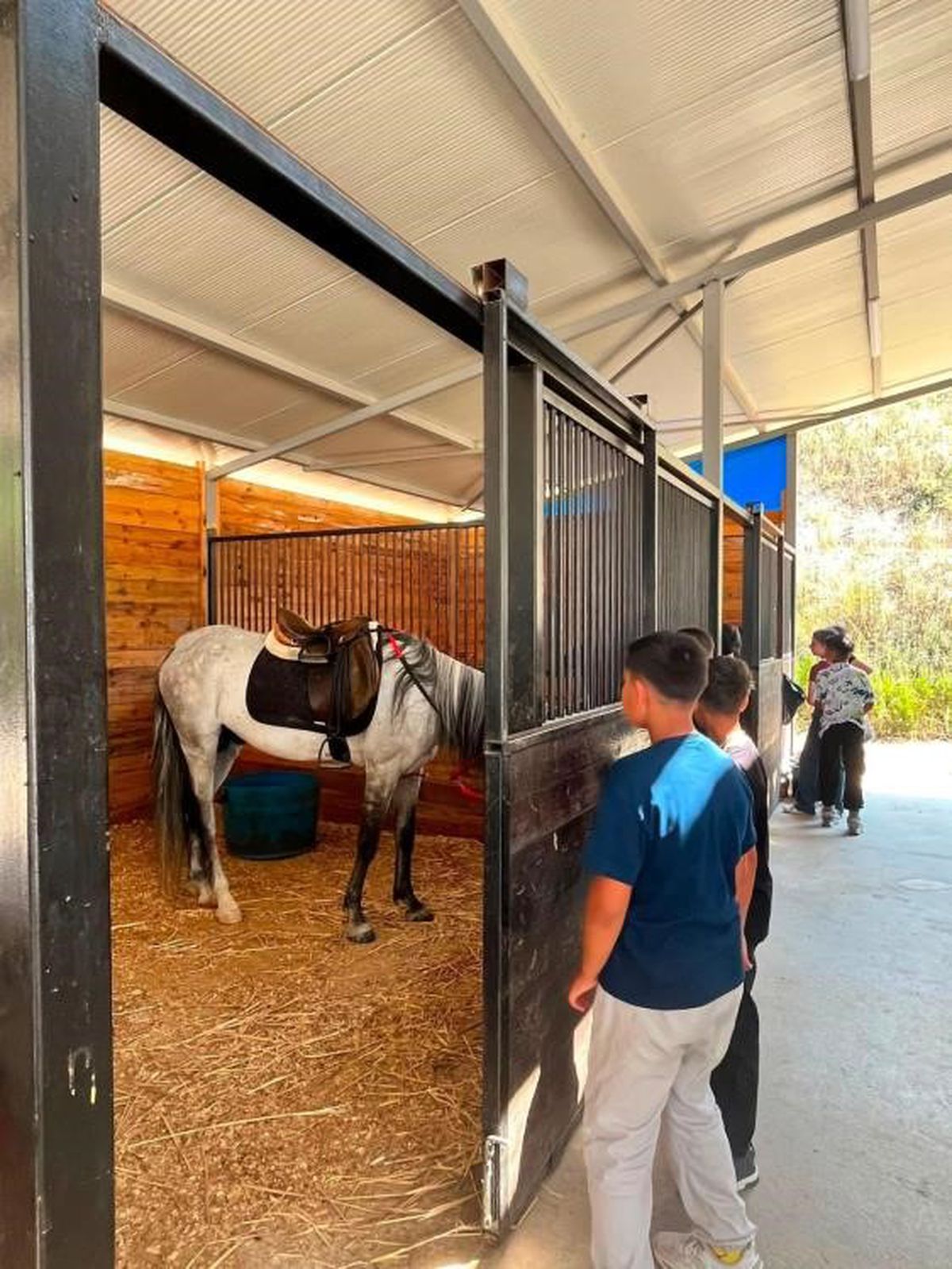 Bilecik'te Çocuklara Atlı Spor Sürprizi