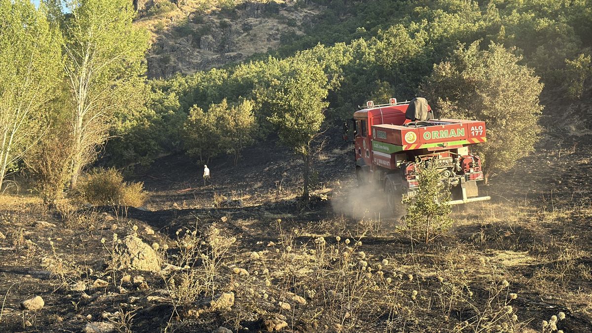 Elazığ'da Orman Yangını Kontrol Altına Alındı