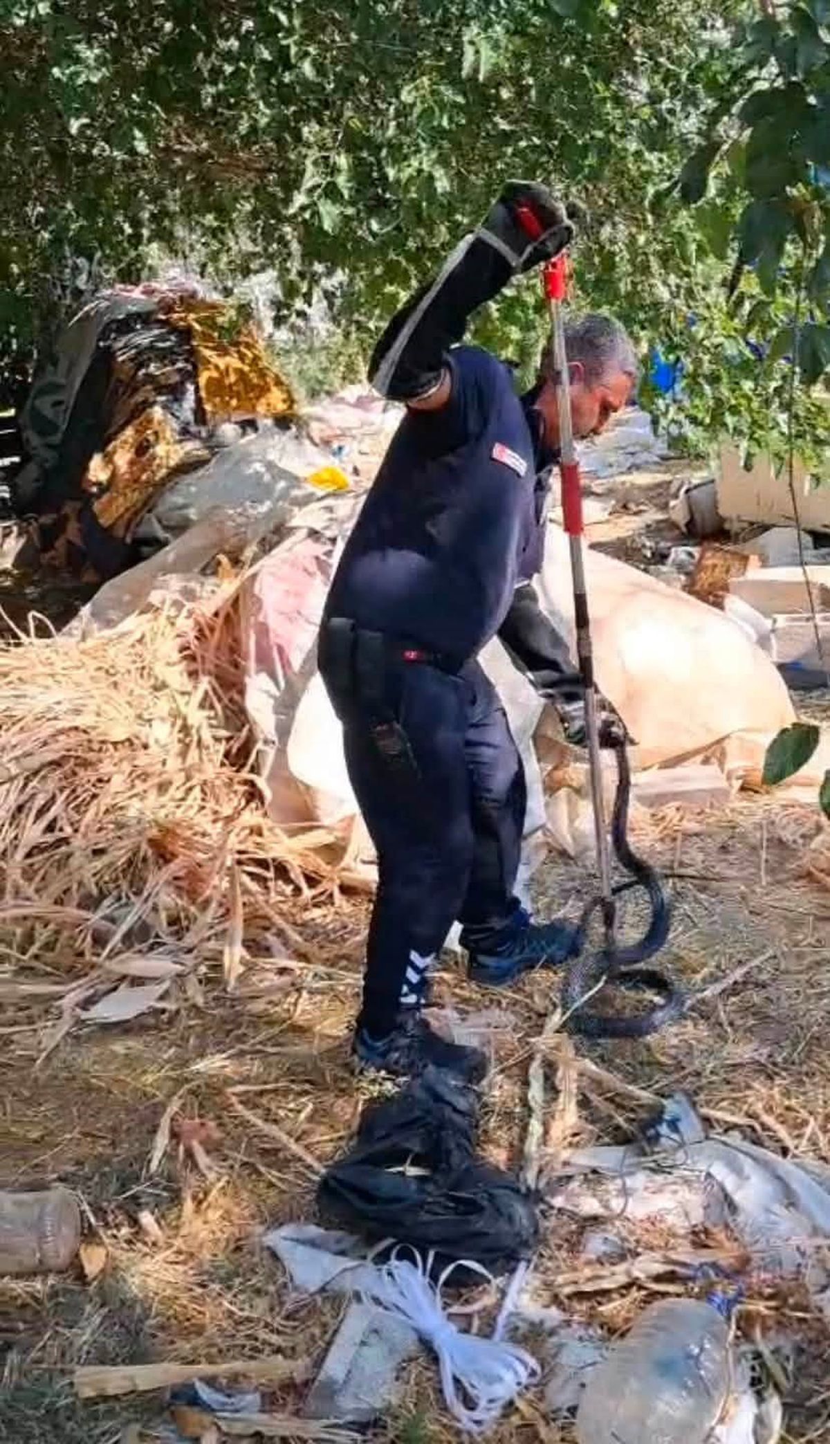Hatay'da 2 Metrelik Kara Yılan Bahçede Yakalandı
