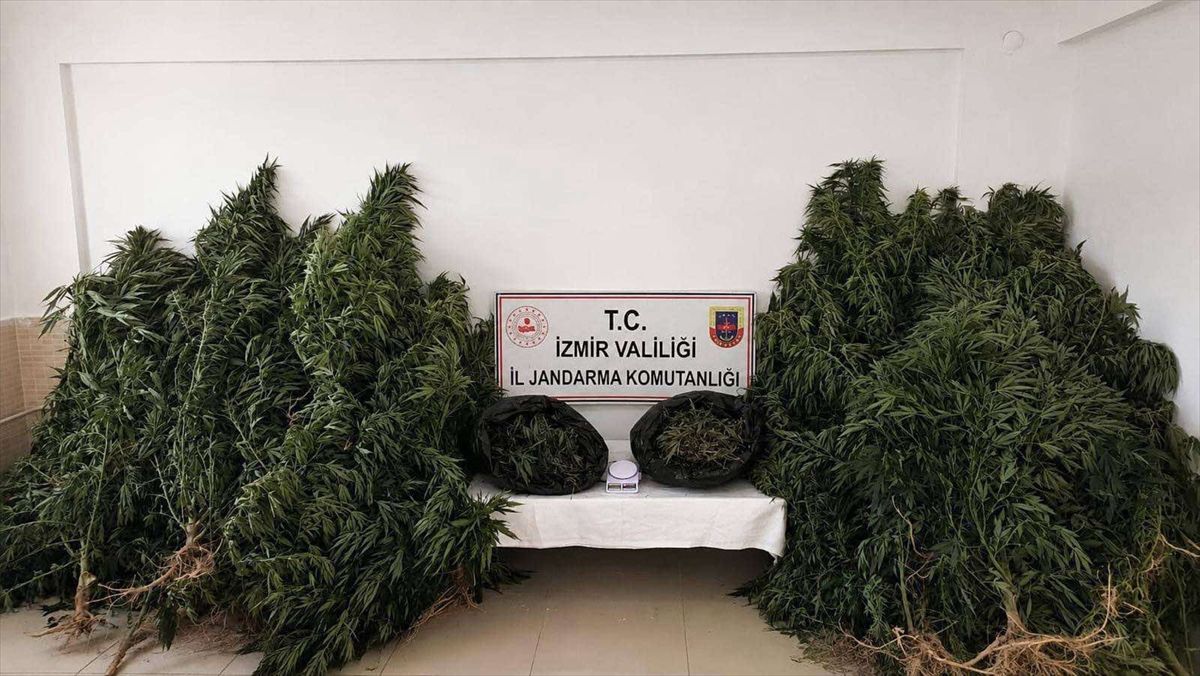 İzmir'de Uyuşturucu Operasyonu: 13 Kilo Esrar Ele Geçirildi