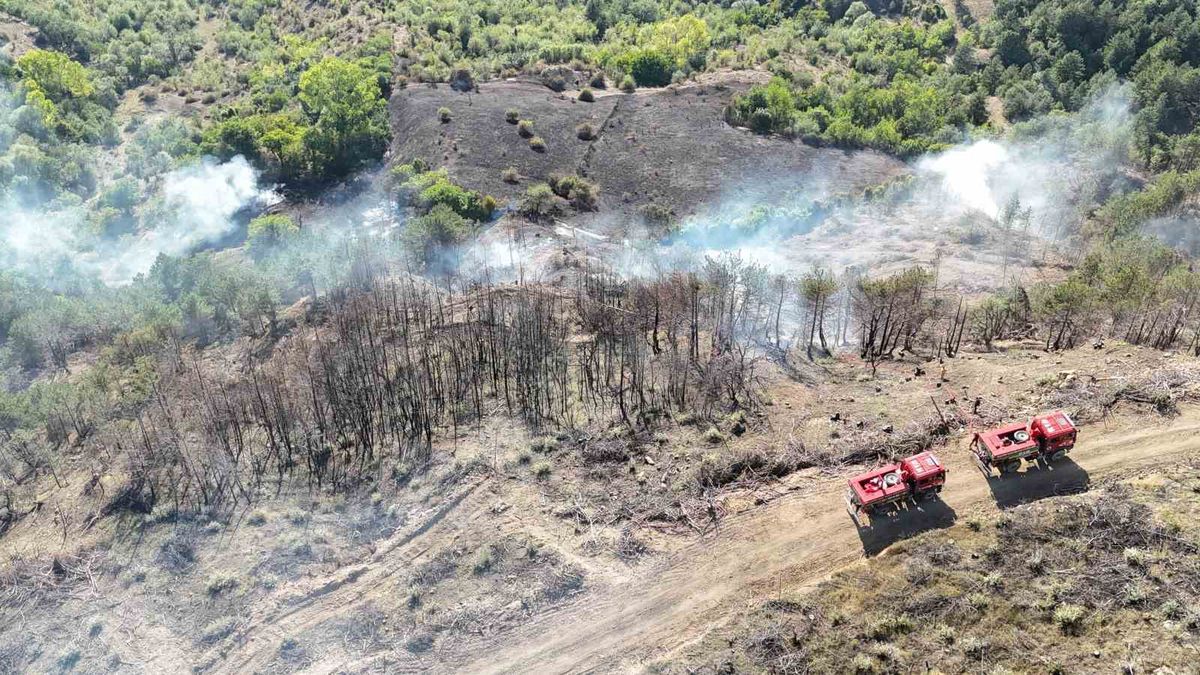 Karabük'te Anız Yangını: 25 Dönüm Zarar, Samanlık Küle Döndü