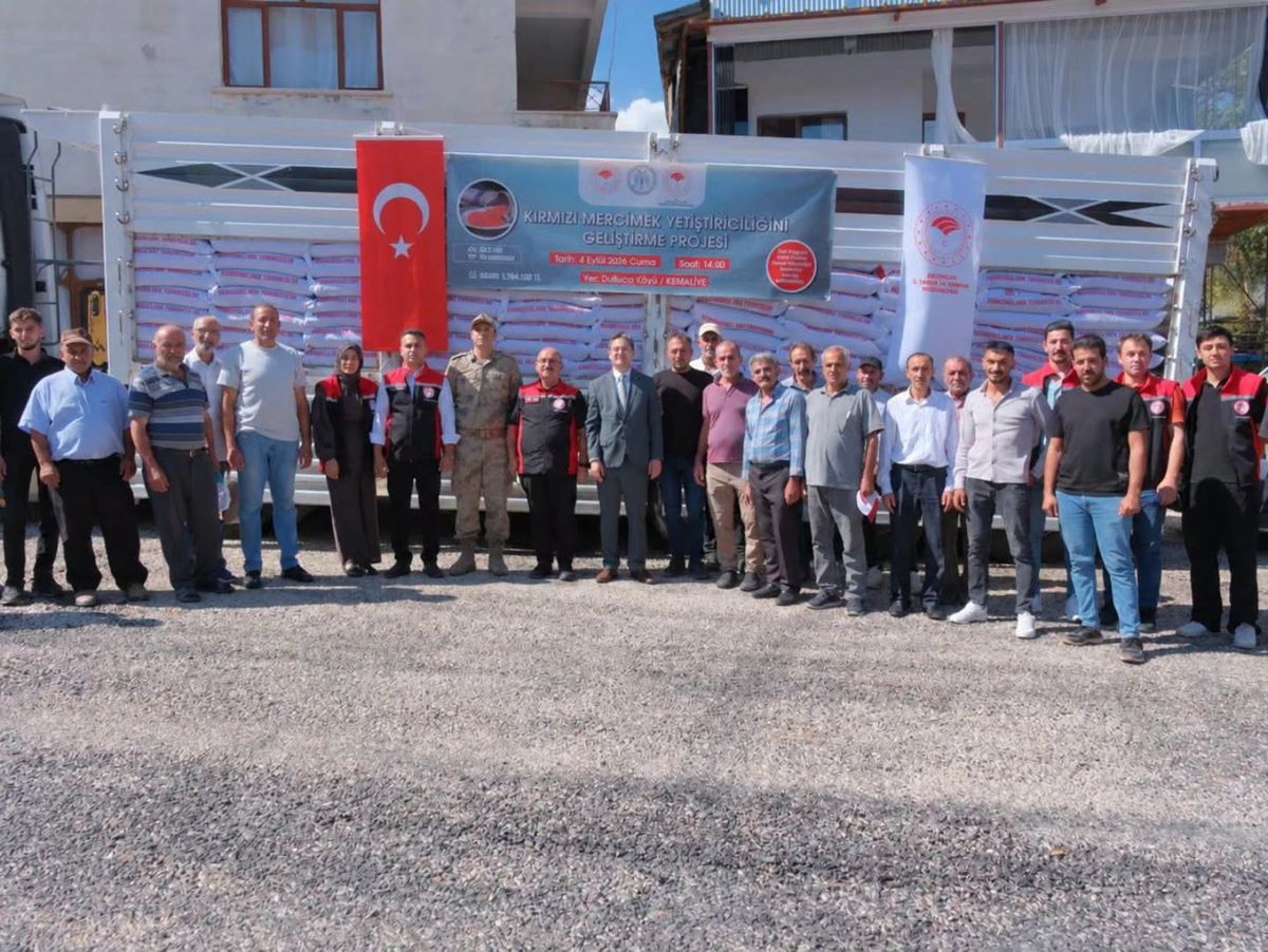 Kemaliye'de üreticilere yüzde 75 hibeli kırmızı mercimek tohumu dağıtıldı