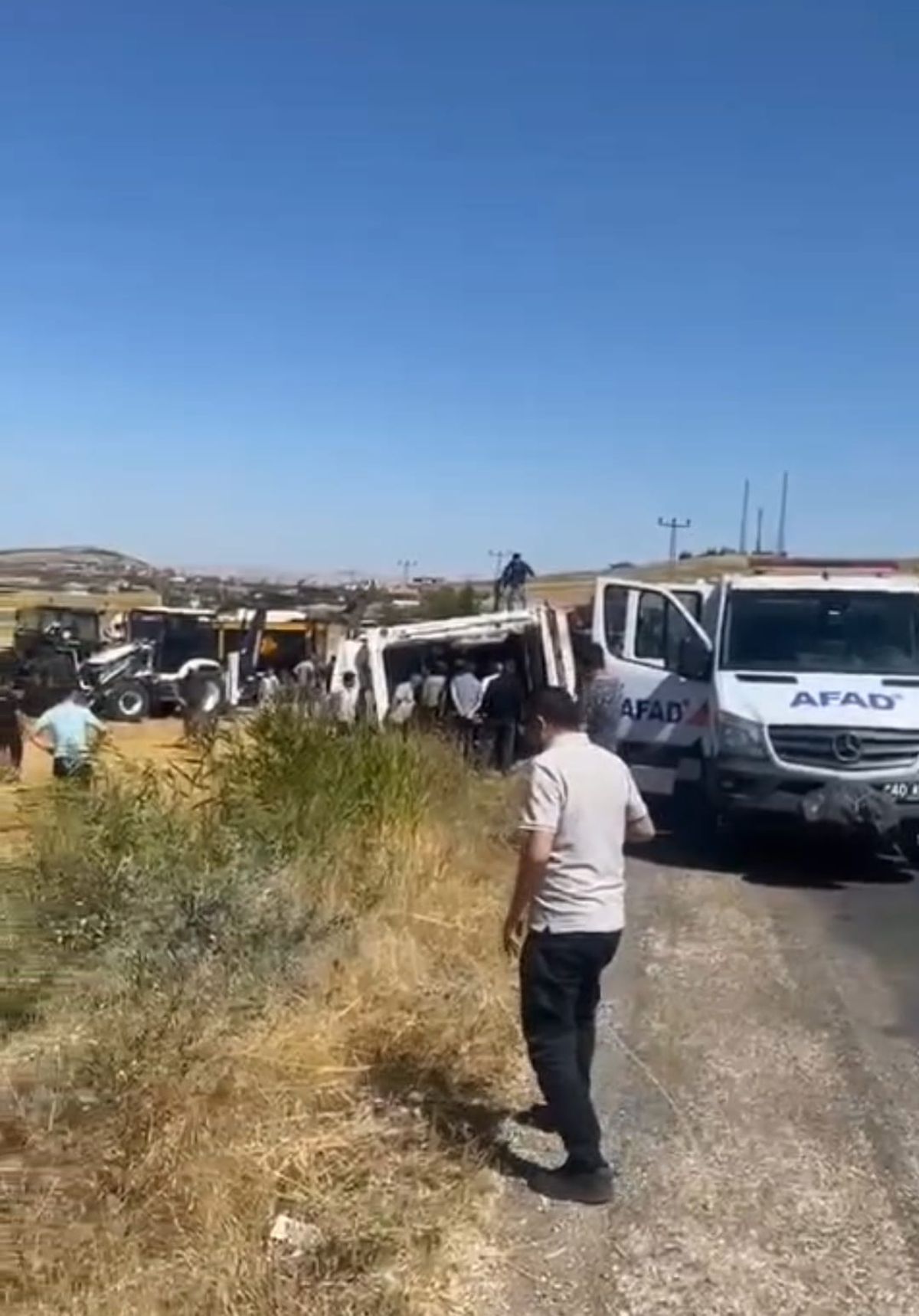 Kırşehir'de Hayvan Yüklü TIR Devrildi: 4 Büyükbaş Öldü
