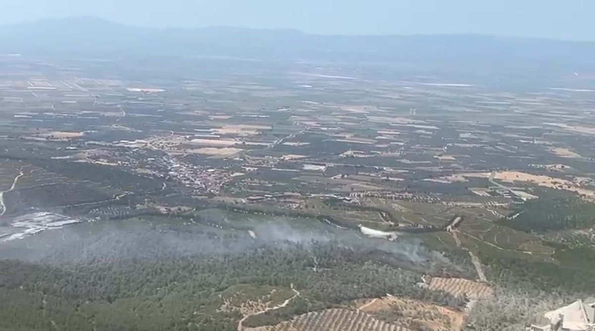 Manisa Soma'da Orman Yangını: Havadan ve Karadan Müdahale Sürüyor