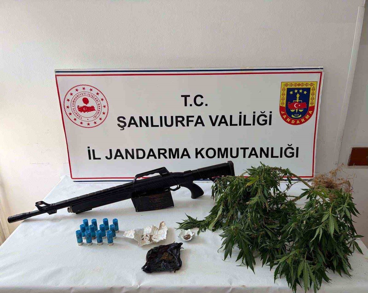 Şanlıurfa'da Uyuşturucu Operasyonu: 5 Gözaltı