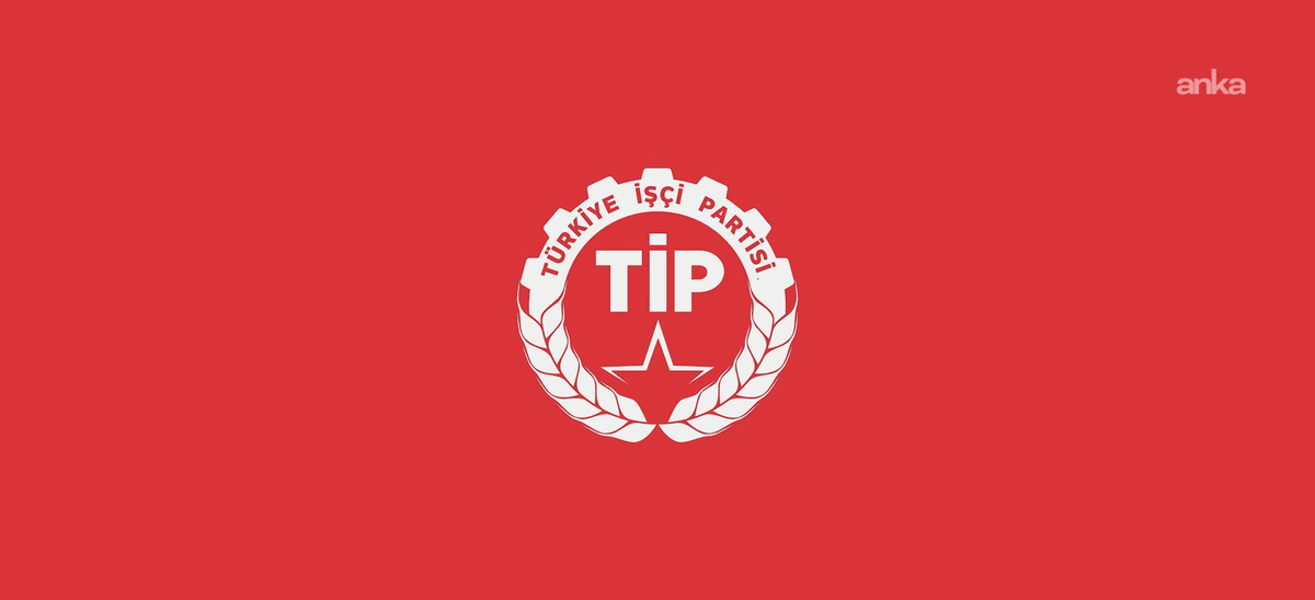 TİP'ten köprü ve otoyol özelleştirmesine tepki: 'Özelleştirme ihanettir, kamulaştıracağız'